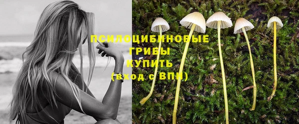 кристаллы Арсеньев