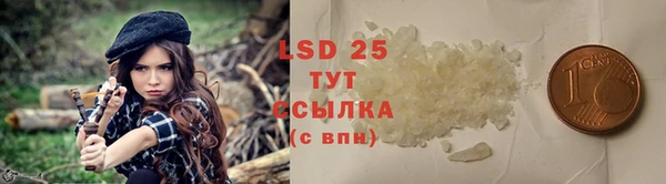 гидра Аркадак
