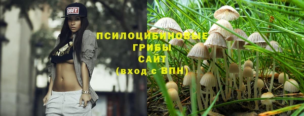 ешки Саяногорск
