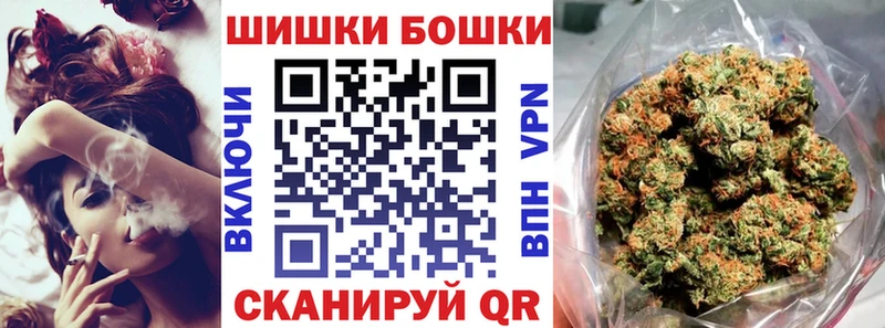 Конопля сатива  Бакал 